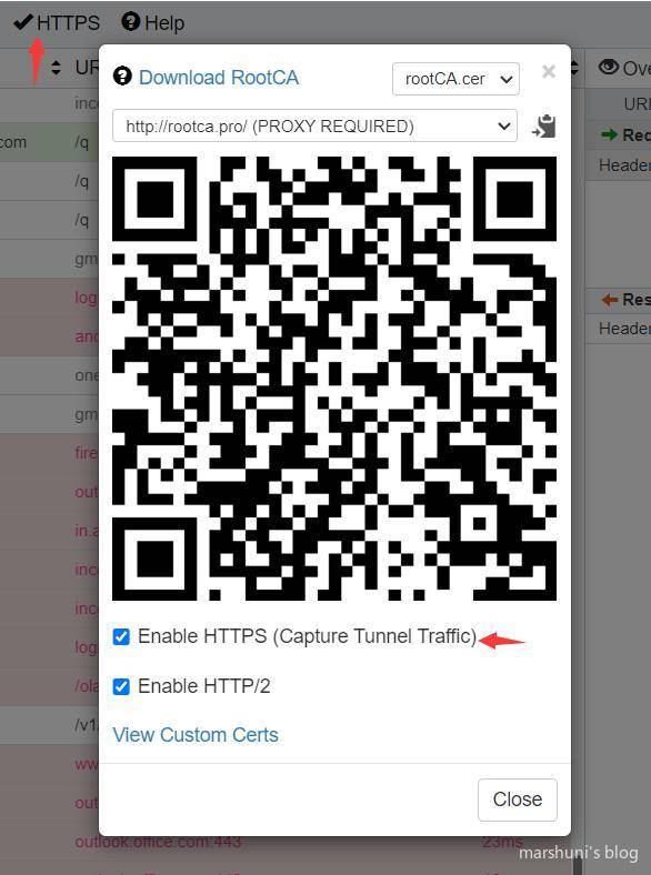 Whistle HTTPS 配置界面