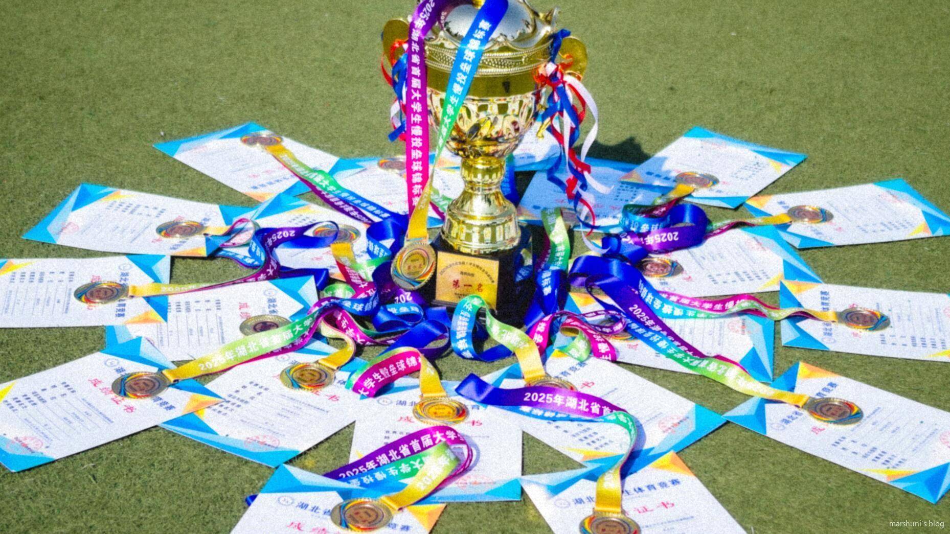 我们在几天前的比赛中获得了冠军！