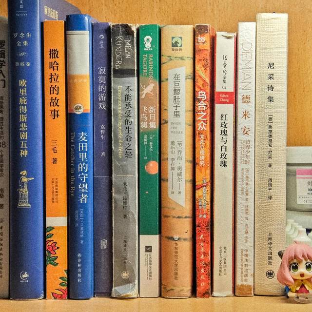 【随笔】我那“叶公好龙”式的阅读爱好